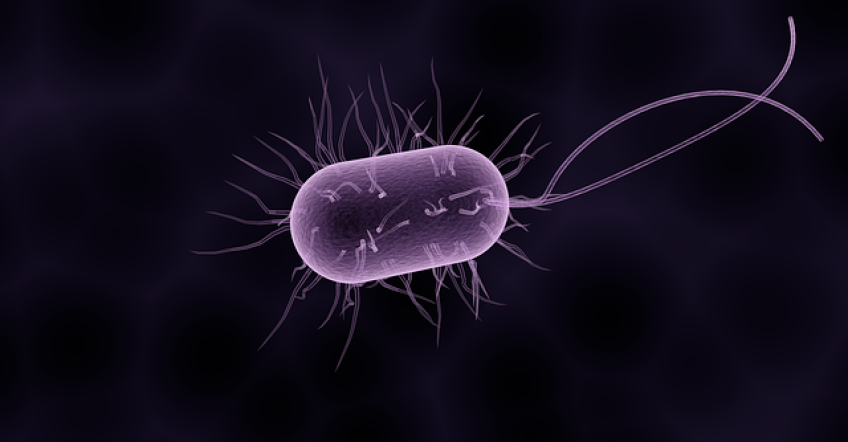 Legionella o Covid: el cuidado necesario para evitar confusiones